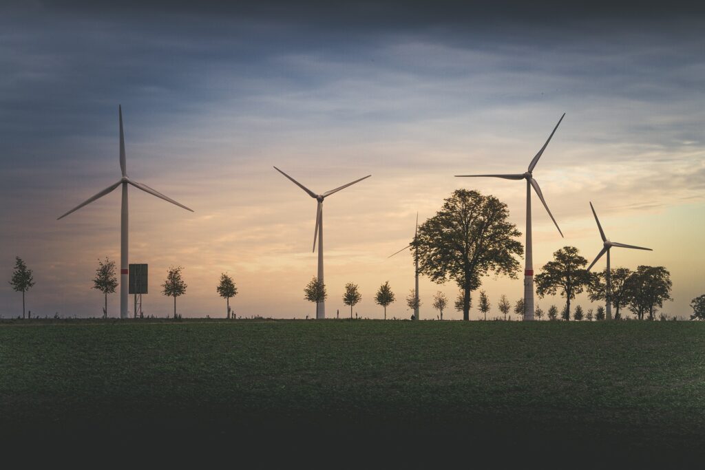 Waste-to-Energy